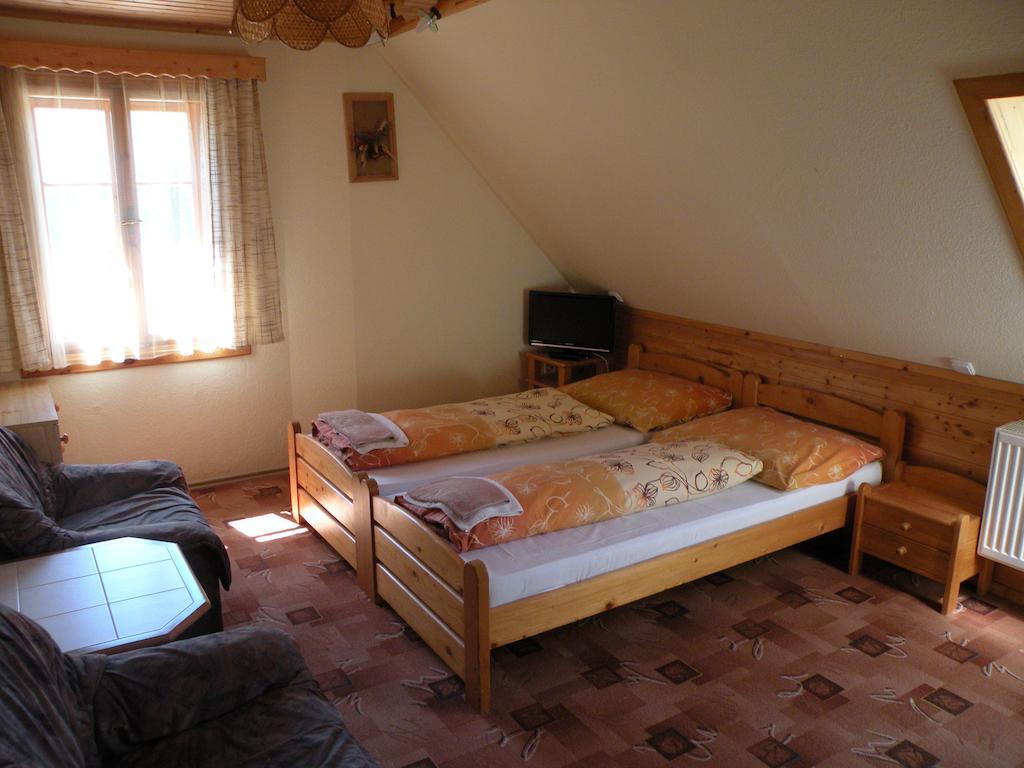 Hotel Lesní dům Janské Lázně Habitación foto
