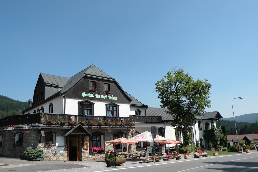 Hotel Lesní dům Janské Lázně Exterior foto